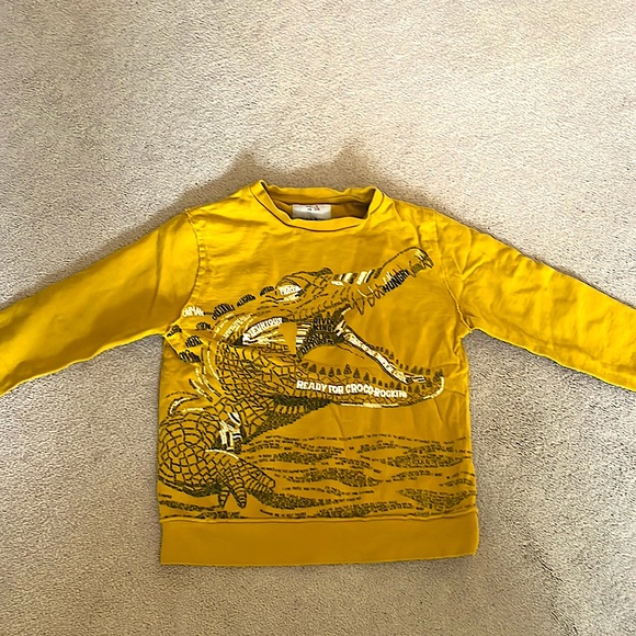 2 x boys sweatshirts, size 8, 128 cm. Brand: Zara. Like new. Cost is for both - Picture 6 of 7